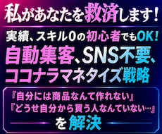 SNS不要、自動集客でココナラマネタイズ教えます 自分に商品なんて作れないし、出品しても買ってもらえないを解決