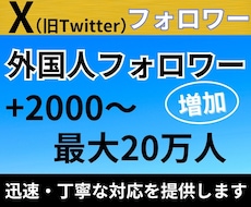 X・旧Twitterの外国人フォロワーを増加します 減少率10%未満！Xフォロワー2000増加！30日減少保証！