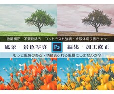 風景レタッチ♪不要物除去・色調補正・修正を承ります 雰囲気のある1枚に♪修正・加工・補正・不要物除去はお任せ♪