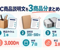 商品情報からEC商品説明文を3点作ります イメージ1