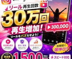 インスタグラムリール動画閲覧300000増やします イメージ1
