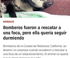 格安！スペイン語翻訳致します イメージ1