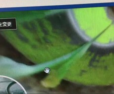 Facebookのjｐg画像がクルクル回ります イメージ1