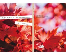 簡易版：同人誌表紙の作成お手伝いします 完全お任せのデザイン表紙の作成