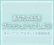 エントリーシートのブラッシュアップを支援します 面接で困らない、話しやすいESにブラッシュアップ！