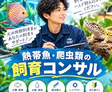 元水族館飼育員が魚・爬虫類の飼育お悩み相談のります 熱帯魚・金魚・メダカから爬虫類まで元水族館飼育員がアドバイス