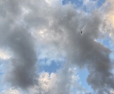 言いづらい、話しづらいこと、お聞きします イメージ1
