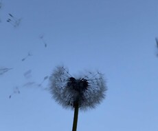 高校生の日常や勉強の仕方詳しく書きます イメージ1