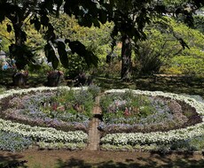 関西弁で、嫌な事を忘れましょう。愚痴聞きます イメージ1