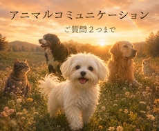 心に寄り添うアニマルコミュニケーションをします 〜【ご質問2つまで】ペットロス、今を生きるペットさんに〜
