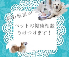 ペットの健康相談受付けます イメージ1