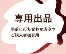 専用出品になります 事前に打ち合わせ済みのご購入者様専用