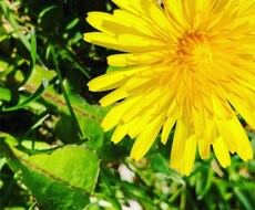 風景の写真が欲しい方、写真撮ります イメージ1