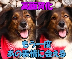 大切なあの子の思い出を、高画質化します イメージ1