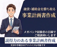 融資・補助金に強い事業計画書を作成します イメージ1