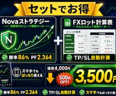 FXストラテジー＋ロット計算表セットを提供します 通常4,000円→3,500円！Nova×ロット計算表セット