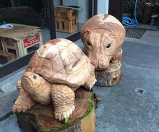 クイズ、作ります 今すぐクイズが欲しい方へ【オリジナル問題】作ります