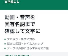 動画・音声を固有名詞まで確認して文字起こしします イメージ1