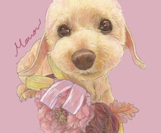 ポップでカラフルにペットを描きます ～可愛く愛犬をかざりませんか～
