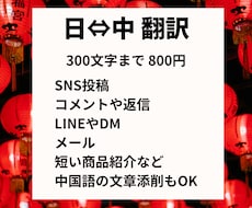SNSやメッセージの翻訳をします イメージ1