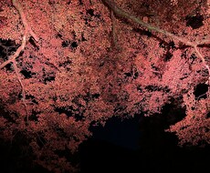 恋愛相談には自信があります イメージ1