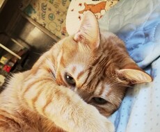 アナタの短所を長所に変えます イメージ1
