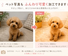 お写真をやわらかくおしゃれに加工・編集します イメージ1