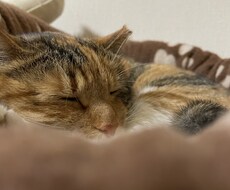 お話聞きます イメージ1