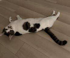 絶対に別れを切り出されない方法をお伝えします イメージ1