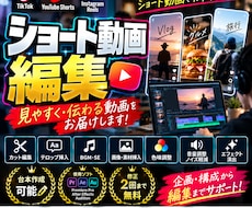 TikTok・リール・ショート動画を編集します イメージ1