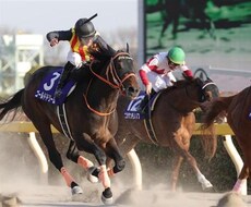 競馬予想。初心者向け。買い目の出し方教えます