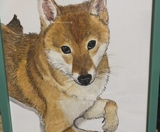 あなたの可愛いペットの似顔絵イラストを作成します イメージ1