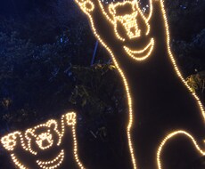 恋愛相談します イメージ1