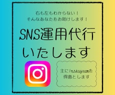 インスタ運用代行させていただきます イメージ1