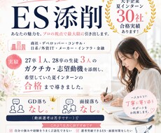 28卒向け！ガクチカ、志望動機の添削します イメージ1