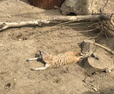 お悩み、聞きます イメージ1