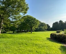 大切な人の自死の痛み、お話し聞きます イメージ1