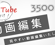 3500円～ YouTube用の動画編集します イメージ1