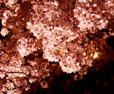 恋愛、仕事、人間関係など 現状をお伝えします イメージ1