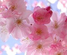 悩み・相談なんでも秘密厳守で聞きます イメージ1