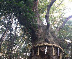 運命のお相手のイニシャルお教えします あの人が運命のお相手か知りたいあなたへ