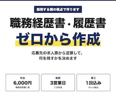 現役の採用担当が職務経歴書・履歴書を作成します イメージ1