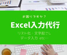 Excel入力業務承ります イメージ1