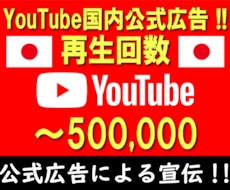 YouTube 国内公式広告で再生回数増加します イメージ1