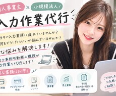 入力代行行います イメージ1