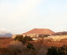 BCPの導入を支援いたします 組織の事業継続計画を策定します。