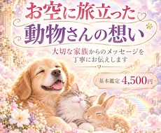 お空に旅立った動物さんの想いを丁寧にお伝えします イメージ1