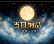 未来/本心/会話分析鑑定本日中に納品します 平日13時までにご依頼頂けた場合のみ対応可能。最短0日納品