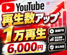 YouTube再生回数1万回〜増加サポートします イメージ1