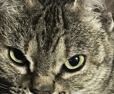 誰かに聞いて欲しい話し聞きます イメージ1